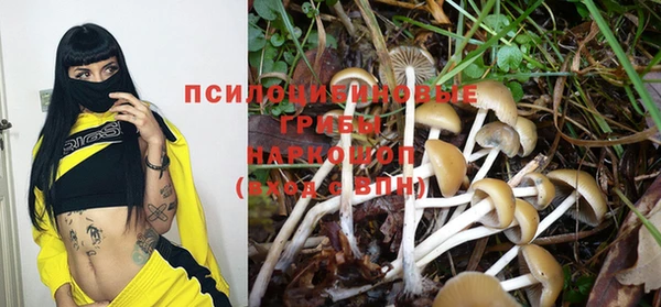 Альфа ПВП Семилуки