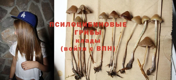 тгк Сафоново