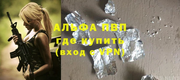 гидра Николаевск-на-Амуре