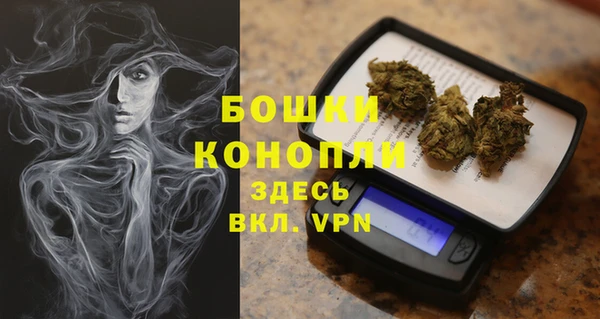 винт Сатка