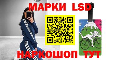 гидра Камышлов