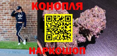 гидра Камышлов