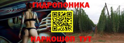 гидра Камышлов