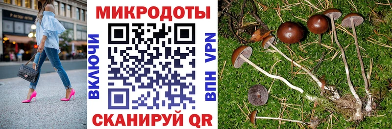 купить наркотик  Псков  hydra маркетплейс  Псилоцибиновые грибы Cubensis 